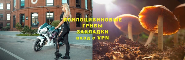 ГАЛЛЮЦИНОГЕННЫЕ ГРИБЫ Покровск