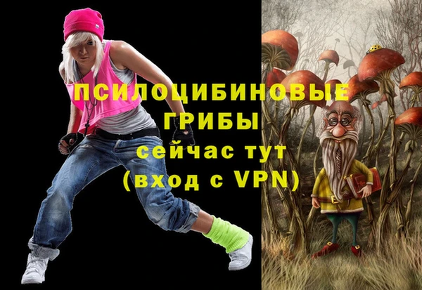 mdpv Переславль-Залесский