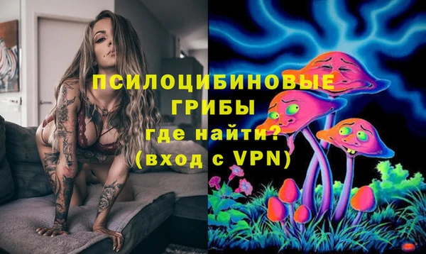 ГАЛЛЮЦИНОГЕННЫЕ ГРИБЫ Покровск