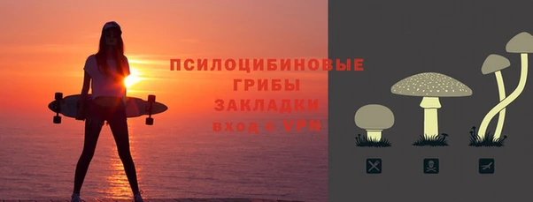 ГАЛЛЮЦИНОГЕННЫЕ ГРИБЫ Покровск