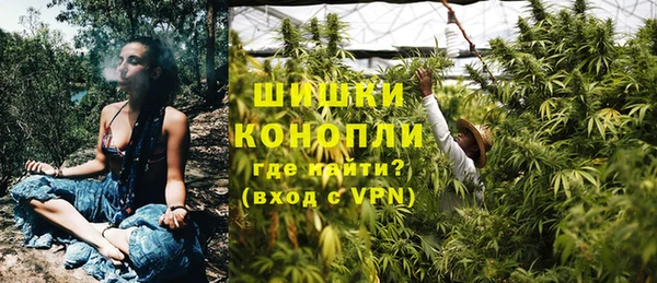ГАЛЛЮЦИНОГЕННЫЕ ГРИБЫ Покровск