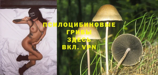 ГАЛЛЮЦИНОГЕННЫЕ ГРИБЫ Покровск