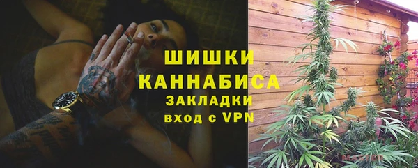 ГАЛЛЮЦИНОГЕННЫЕ ГРИБЫ Покровск