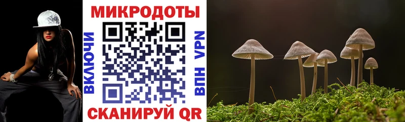 Галлюциногенные грибы GOLDEN TEACHER  как найти закладки  Хотьково 